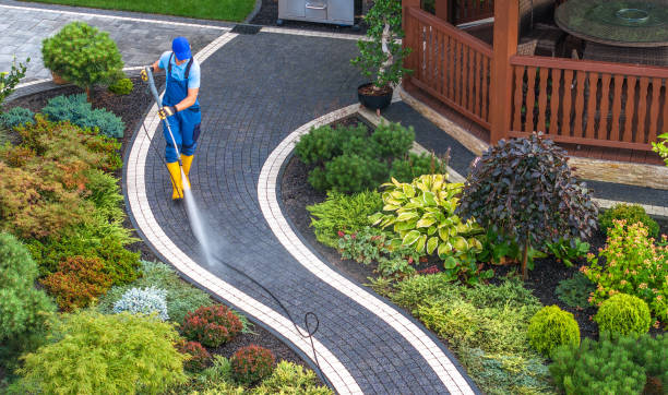 Best Commercial Building Pressure Washing  in Noel, MO